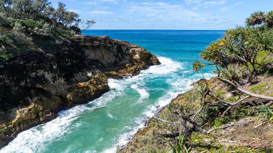 Brisbane to North Stradbroke Island Day: Wildlife & Beaches - Meeting in Brisbane and getting across Moreton Bay without stress
