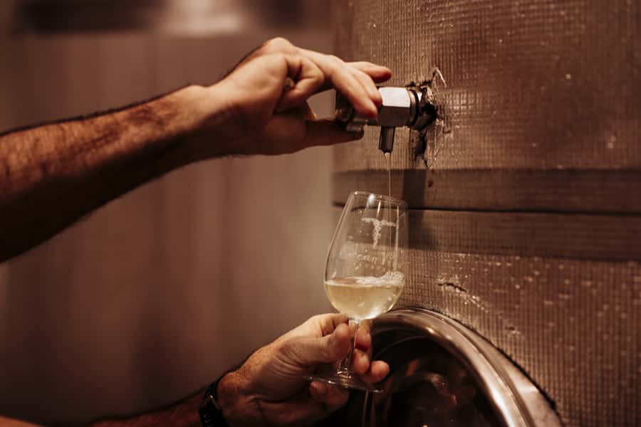 Brisbane: Wine & Dine In The Vines - Ocean View Estates: the 50-minute Brisbane hinterland escape