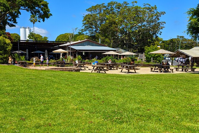 Byron Bay, Bangalow & Gold Coast Day Trip from Brisbane - Cape Byron Lighthouse: the main photo-and-walk payoff