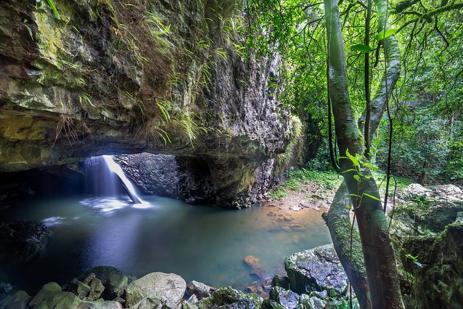 Byron Bay, Bangalow & Gold Coast Day Trip from Brisbane - Byron Bay free time: lunch, shops, and beach pacing