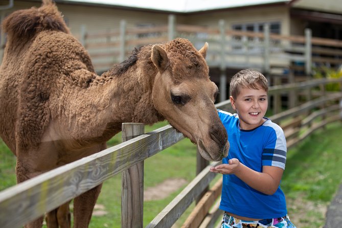 Day Entry ticket - Key things that make this farm visit work for families