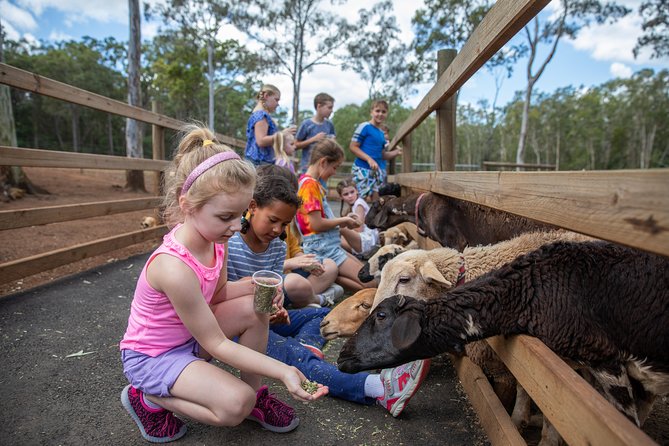Day Entry ticket - Moreton Bay area start, then the farm proper