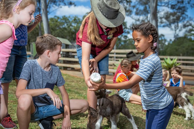 Day Entry ticket - Tractor rides and the White Ridge Express Train