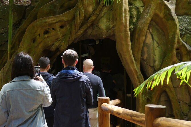 Daytime Scenic Rim Glow Worm Tour + Hop on Hop off Bus - Tamborine Mountain Glow Worm Caves: the main event