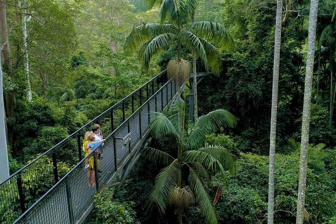 Deluxe Springbrook & Mt Tamborine Glow Worms and famous Skywalk - Key Things I’d Put on Your Radar