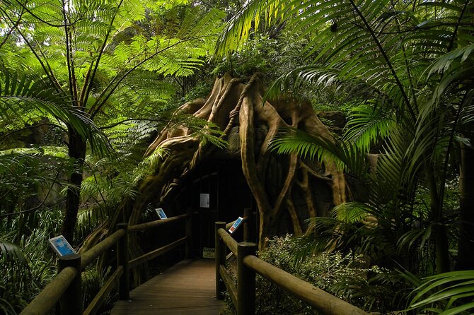 Deluxe Springbrook & Mt Tamborine Glow Worms and famous Skywalk - Viewpoint Stops You’ll Actually Use (Robert Sowter Park Monument)
