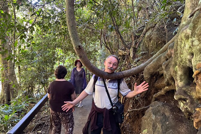 Deluxe Springbrook & Mt Tamborine Glow Worms and famous Skywalk - Tamborine Mountain Glow Worm Caves: Manmade Caves, Real Atmosphere
