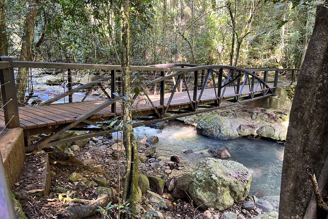 Deluxe Springbrook & Mt Tamborine Glow Worms and famous Skywalk - Meals and Snacks: More Than Just Lunch