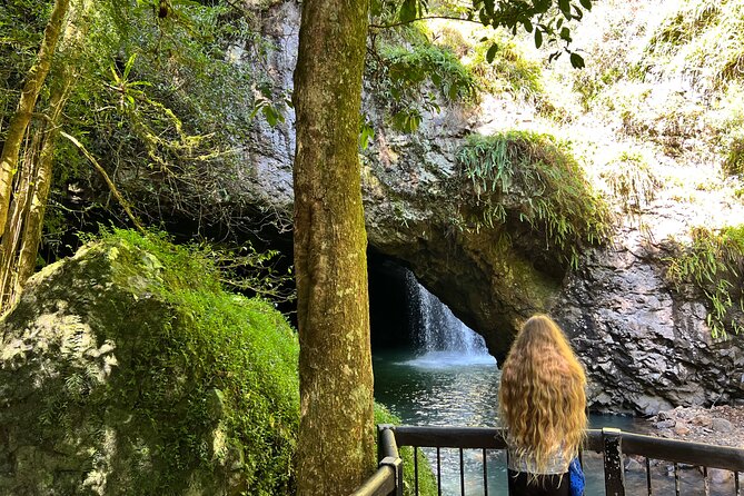 Deluxe Springbrook & Mt Tamborine Glow Worms and famous Skywalk - Van-Sized Touring: Why Small Groups Matter Here