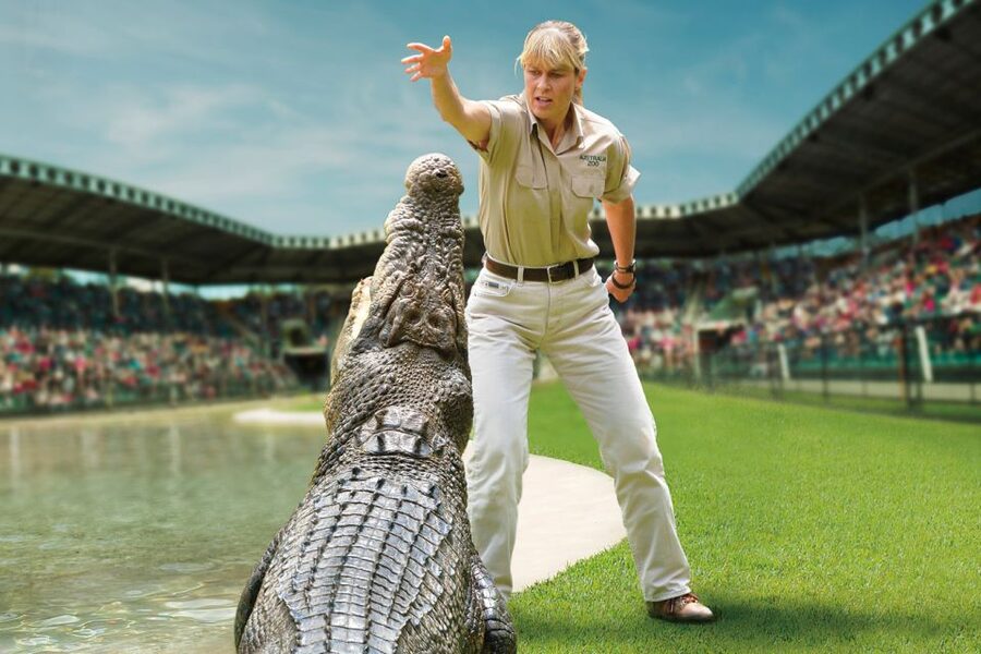 From Brisbane: Australia Zoo Ticket and Roundtrip Transfer - Your 6 hours at Australia Zoo: how to spend the time well