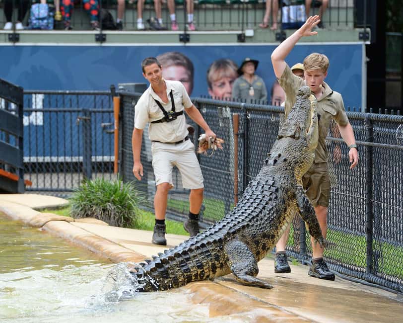 From Brisbane: Australia Zoo Ticket and Roundtrip Transfer - The African savannah exhibit: giraffes, rhinos, zebras