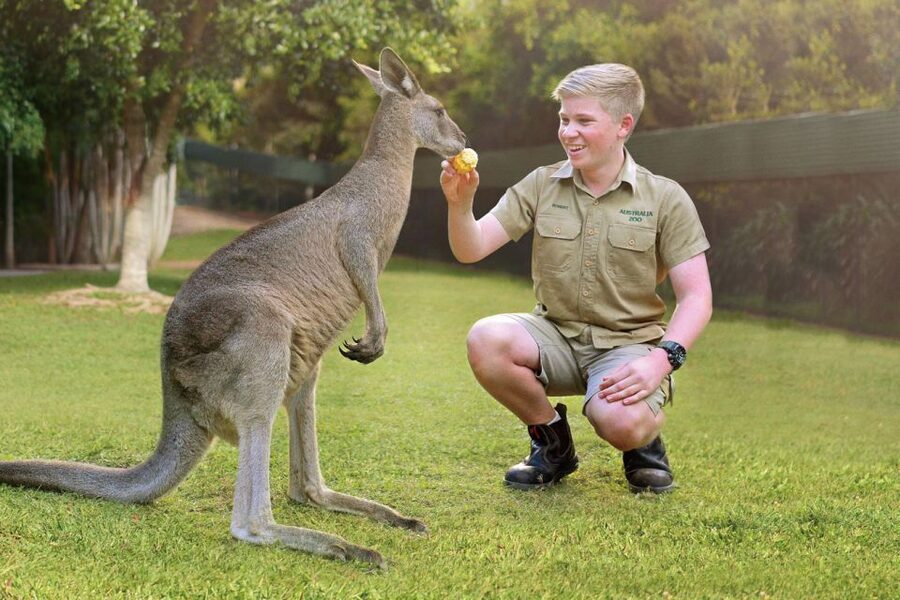 From Brisbane: Australia Zoo Ticket and Roundtrip Transfer - Pickup at Sebel Brisbane: how the day stays on track
