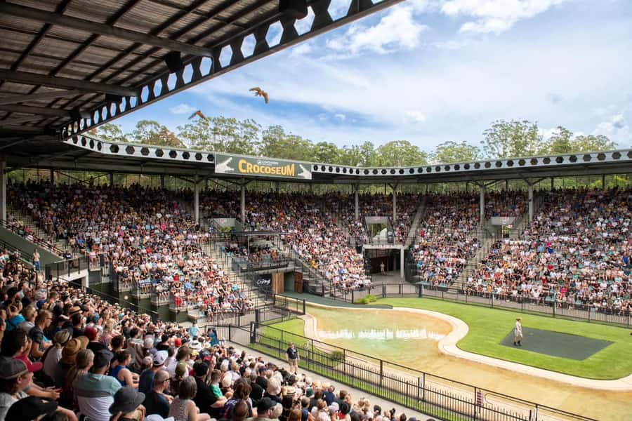 From Brisbane: Australia Zoo Transfer and Entry Ticket - Australia Zoo from Brisbane in 9 hours: pickup that actually works