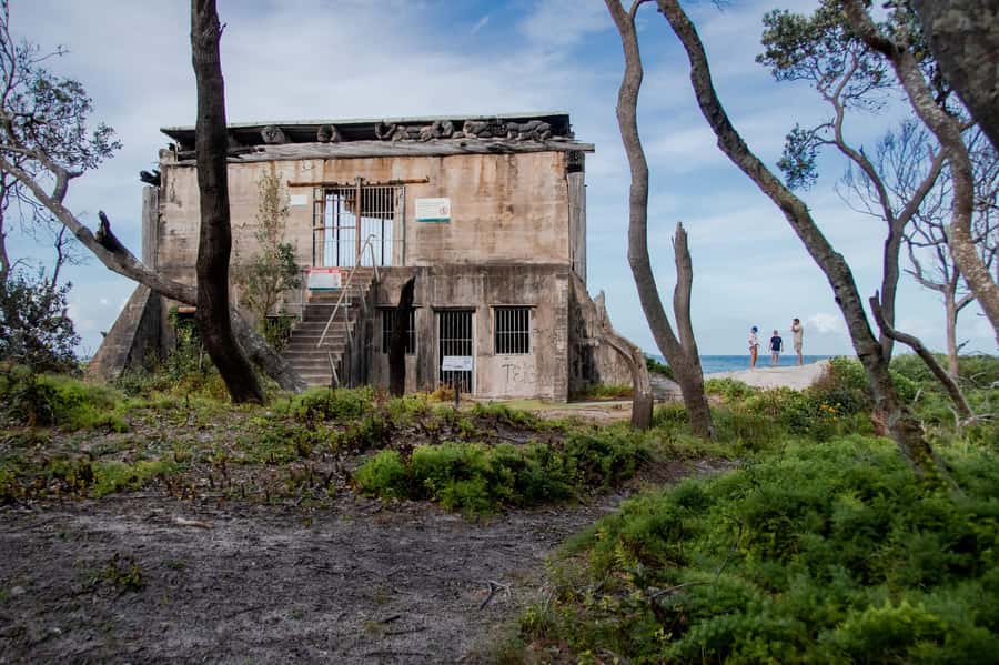From Brisbane: Bribie Island Day Trip - Wildlife spotting: what to watch for, and why it feels real