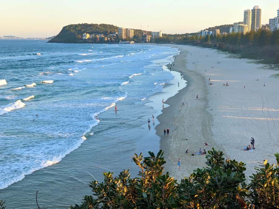 From Brisbane: Byron Bay, Bangalow, and Gold Coast Day Tour - Morning tea at The Farm and a wildlife stop for macadamias