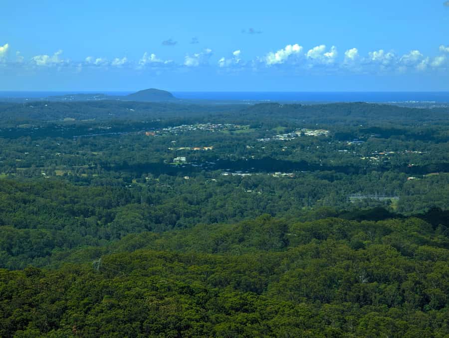 From Brisbane: Day Trip to Noosa, Glass House Mtns and Zoo - Nutworks stop: nuts and chocolate, without the fuss