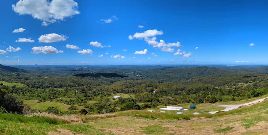 From Brisbane: Day Trip to Noosa, Glass House Mtns and Zoo - The Ginger Factory: a spicy-sweet finale
