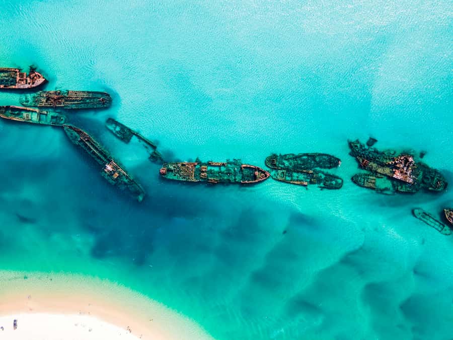 From Brisbane: Moreton Island Full-Day Trip - Key highlights worth planning around