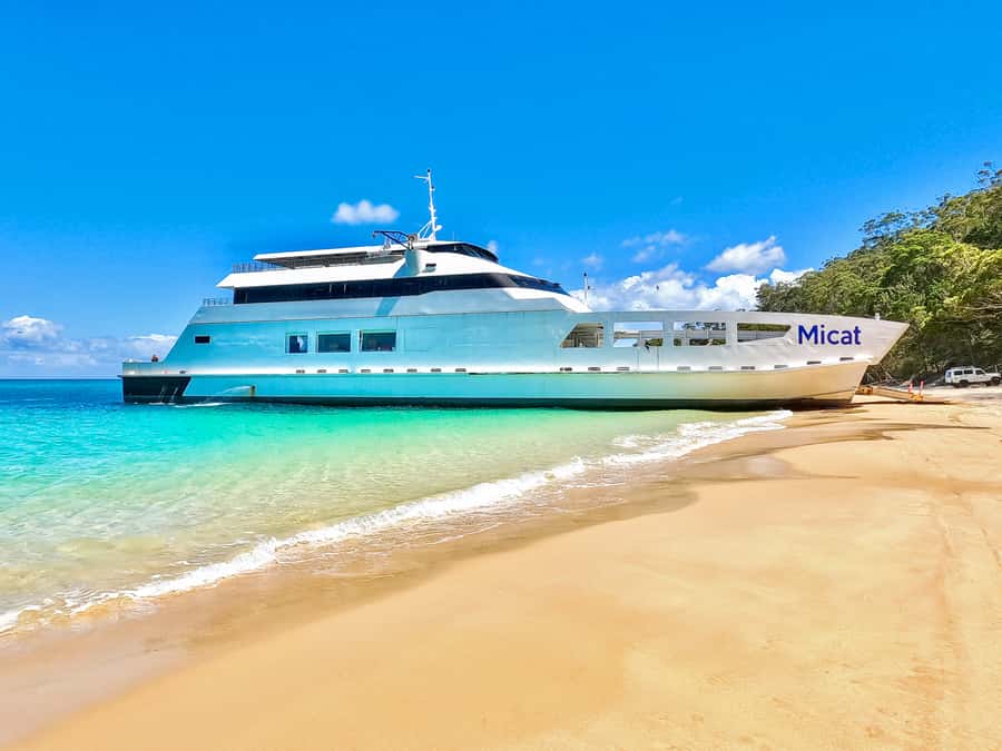 From Brisbane: Moreton Island Full-Day Trip - Cruising Moreton Bay for views and wildlife odds