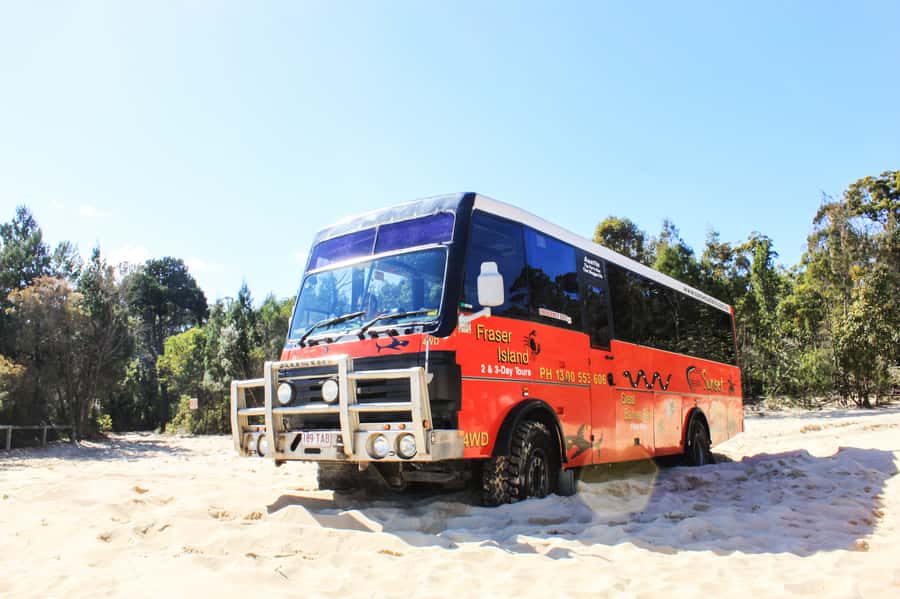 From Brisbane: Moreton Island Full-Day Trip - Transparent kayak over the Tangalooma Shipwrecks
