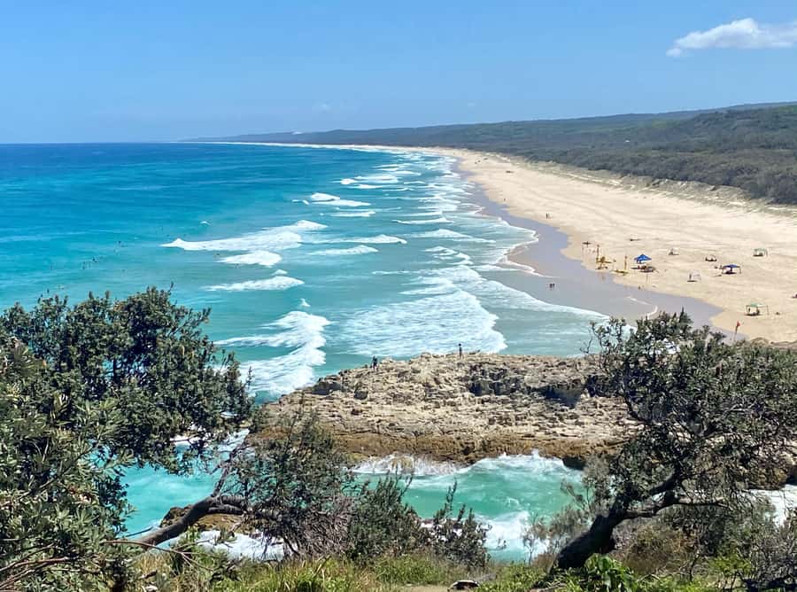 From Brisbane: North Stradbroke Island Wildlife Adventure - Quick hits before you go