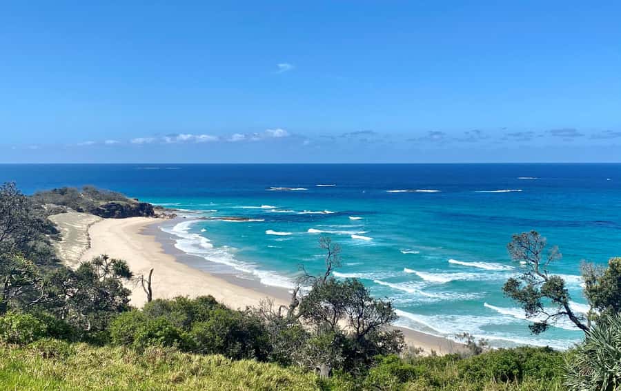 From Brisbane: North Stradbroke Island Wildlife Adventure - Straddie in 10 Hours: what this tour is really for
