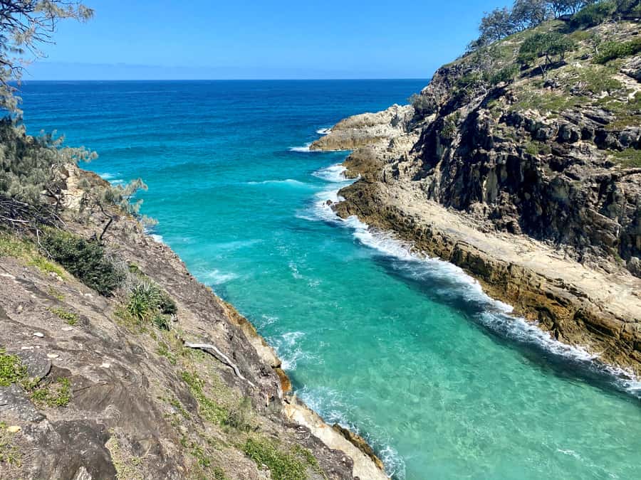 From Brisbane: North Stradbroke Island Wildlife Adventure - Brown Lake and Myora Springs: freshwater calm in the middle of an adventure day