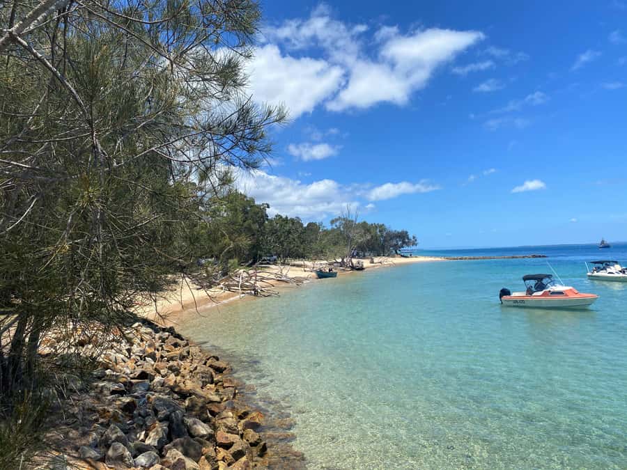 From Brisbane: North Stradbroke Island Wildlife Adventure - Gorge Walk: the coastal highlight where you scan for marine life