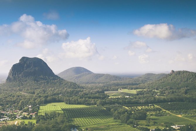 Glass House Mountains Abseiling Experience - The Summit Views: Why You’re Doing This Part at All