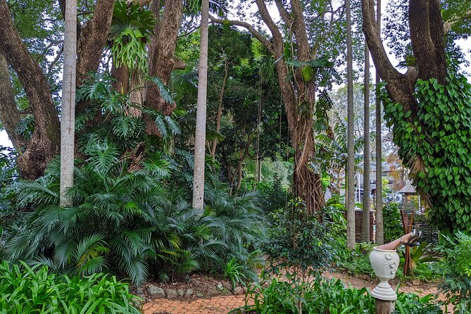 Glass House Mountains, Maleny and Montville Tour from Brisbane - Mary Cairncross Scenic Reserve: Rainforest Learning With a Real View