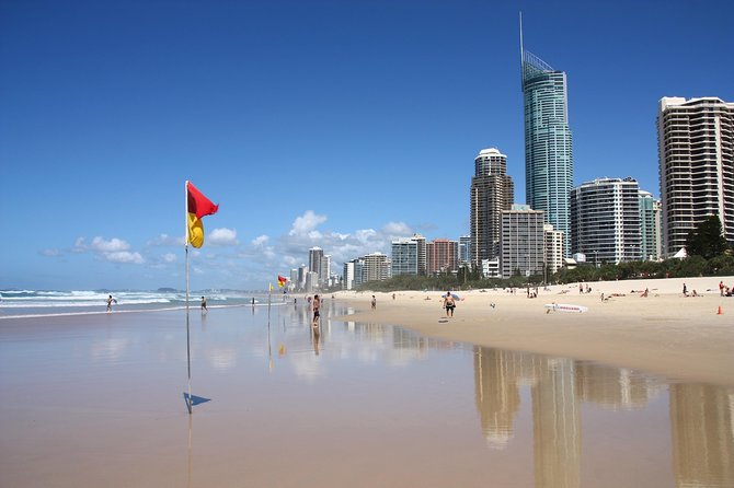 Gold Coast Day Tour From Brisbane - Coombabah Lakelands Conservation Area: kangaroos and koalas on the morning schedule