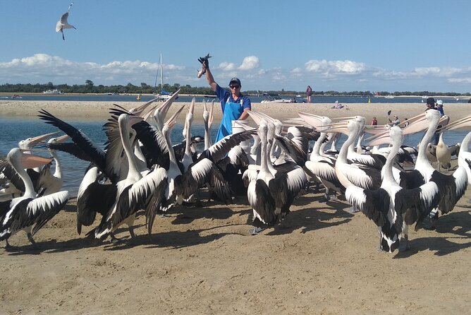 Gold Coast Surfer's Paradise Private Tour from Brisbane - Stop 5: Surfers Paradise Beach for Real Downtime