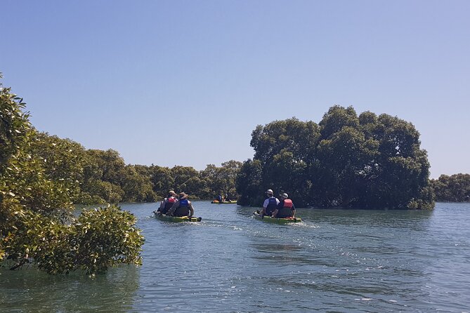 Guided Kayak Adventure Tour - Key highlights at a glance