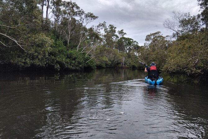Guided Kayak Adventure Tour - Price and logistics: what $114.04 really buys you