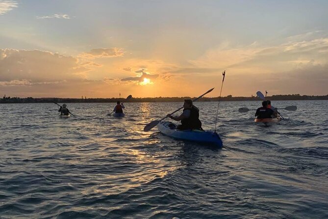 Guided Kayak Adventure Tour - Wildlife spotting: what to watch for (and how to stay patient)