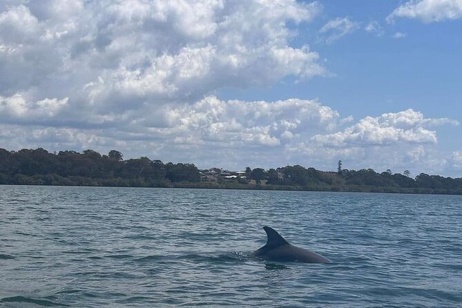 Guided Kayak Adventure Tour - Hilliard’s Creek: reef edges, then mangrove calm