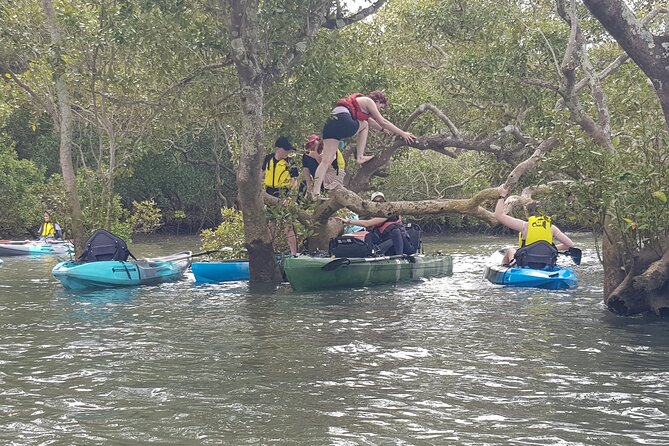 Guided Kayak Adventure Tour - A 3.5-hour rhythm: how the paddle actually works