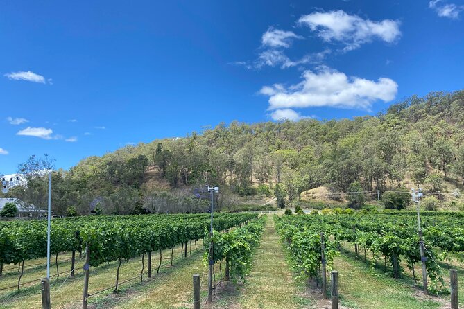 Hinterland Heritage Wine Tour - Getting the most out of the tastings without turning it into a sprint