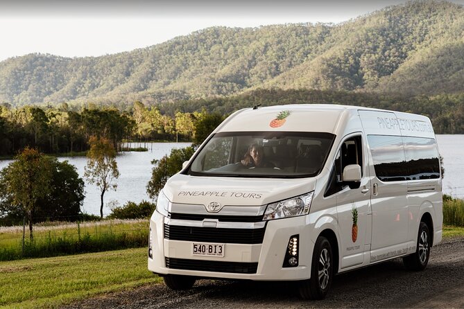 Hop on Hop Off Bus - Tamborine Mountain - Tamborine Mountain Views: Your first hour on the Scenic Rim