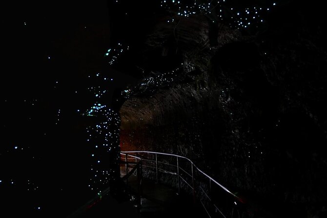 Hop on Hop off - Tamborine Rainforest Skywalk + Glow Worm Caves - Key things I’d highlight before you go