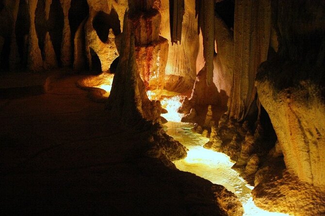 Hop on Hop off - Tamborine Rainforest Skywalk + Glow Worm Caves - Why This Brisbane to Tamborine Mountain day works