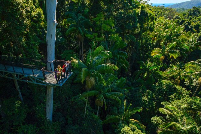 Hop on Hop off - Tamborine Rainforest Skywalk + Glow Worm Caves - Price and What You Actually Get for $118.35