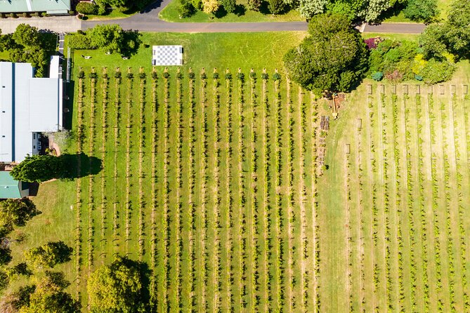 Hop on Hop off Wine tasting tour to Tamborine Mountain - Gallery Walk time and shopping: why the schedule builds in freedom