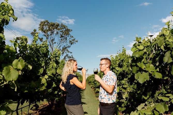 Hop on Hop off Wine tasting tour to Tamborine Mountain - Who this tour fits best (and who should choose something else)