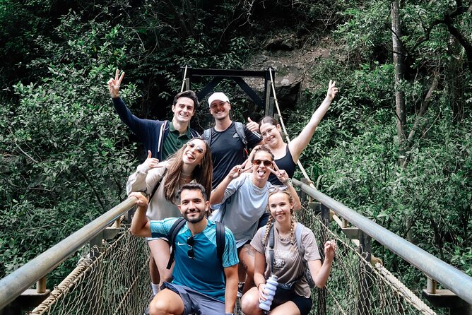 Kangaroos, 6 Springbrook Waterfalls and Natural Bridge Day Tour - Key things I’d mark on your map