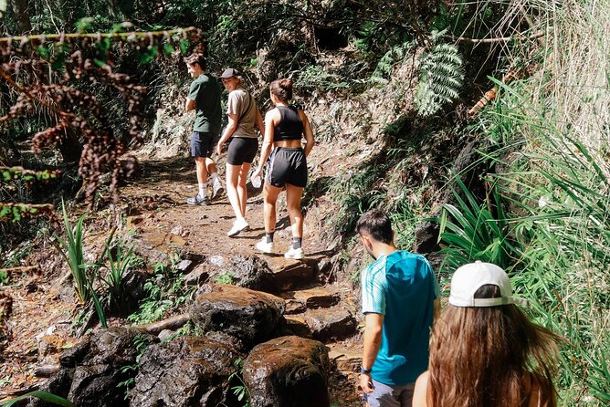Kangaroos, 6 Springbrook Waterfalls and Natural Bridge Day Tour - Wildlife time at Coombabah Lakes, before Springbrook steals the show