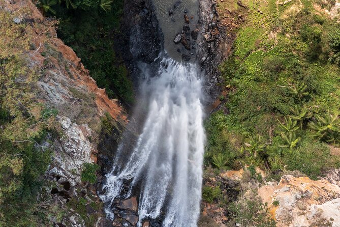 Kangaroos, 6 Springbrook Waterfalls and Natural Bridge Day Tour - Canyon Lookout gives you the big picture (and a chance to breathe)