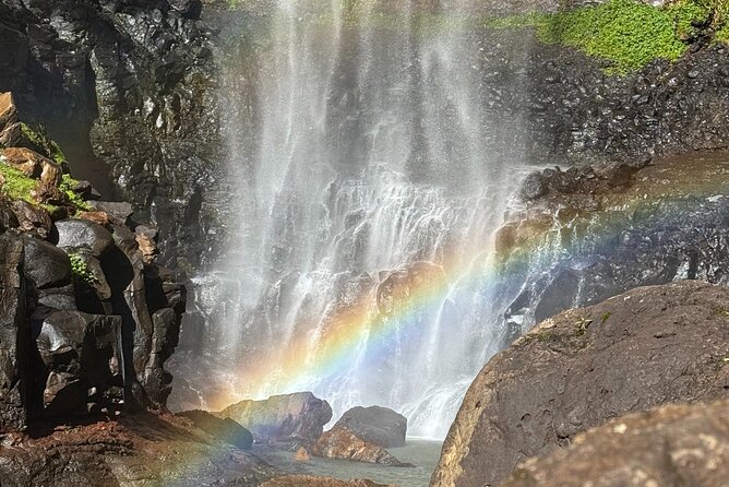 Kangaroos, 6 Springbrook Waterfalls and Natural Bridge Day Tour - Small-group comfort: what max 11 really changes