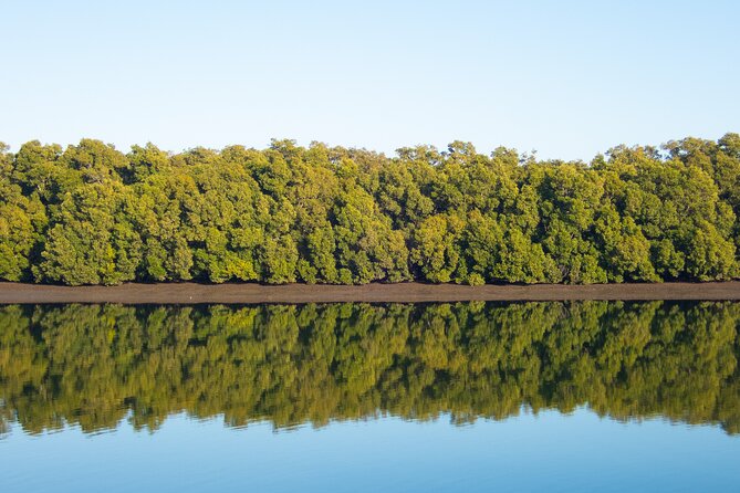Kangaroos, mangroves and the ocean - The HMQS Gayundah shipwreck stop: where history meets the shoreline