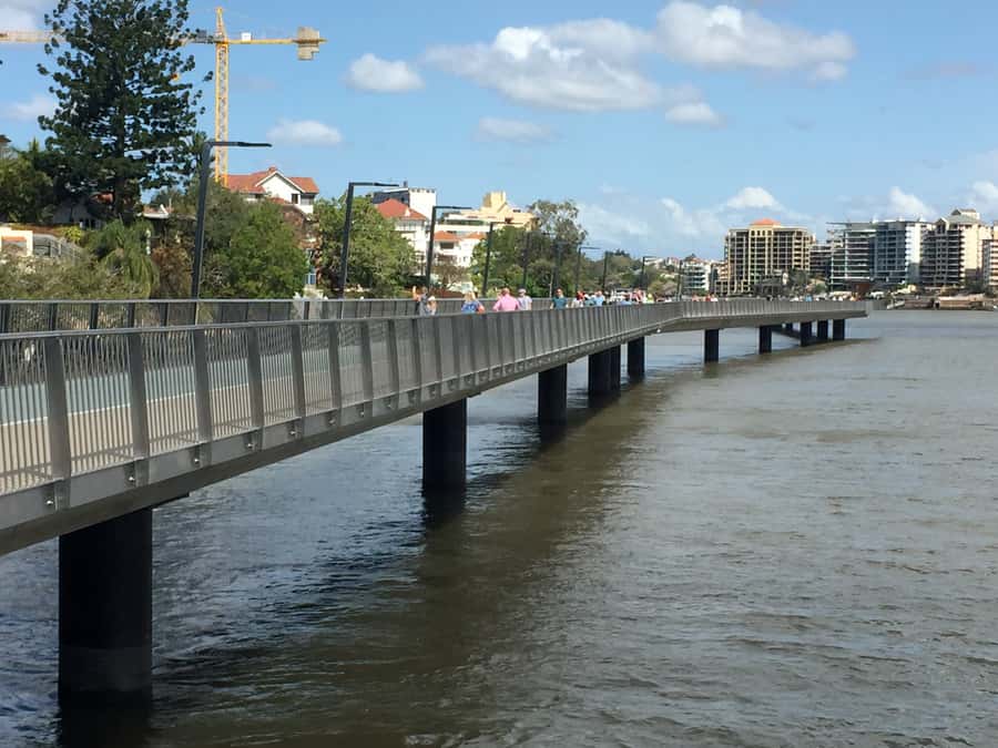 Lone Pine and Brisbane City Highlights - Key Highlights You’ll Care About